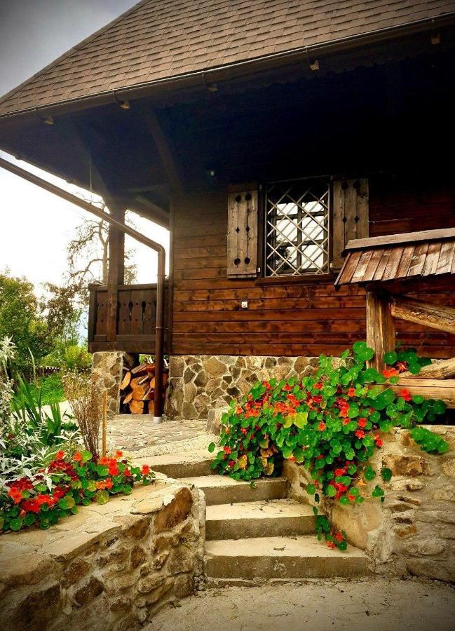Садиба Остра Shcherbovets Extérieur photo